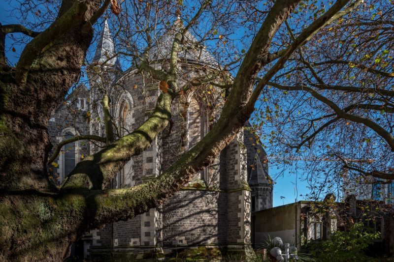 Cathedral update – March 2020 Newsletter